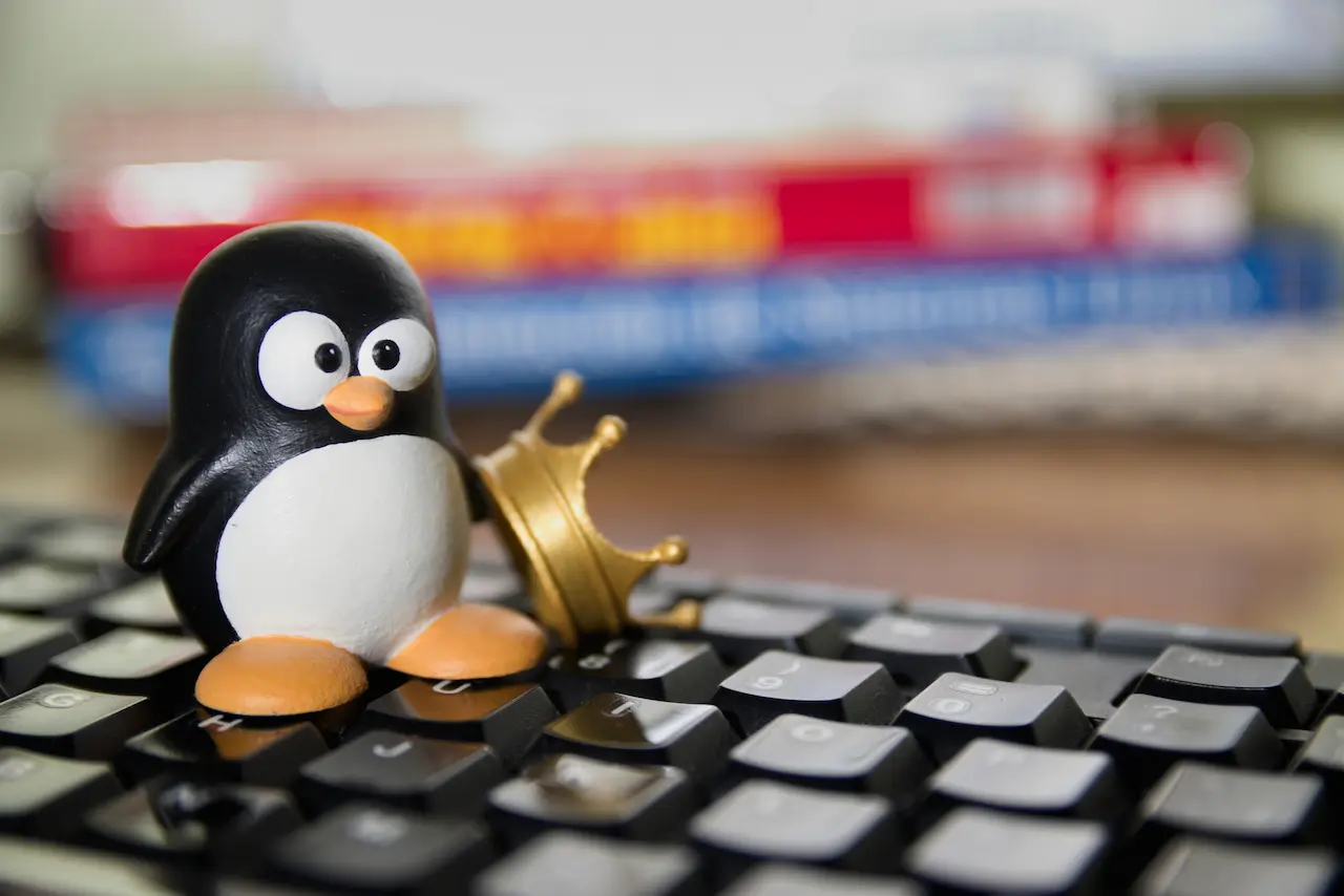 Close-up Of A Penguin Figure Sitting On A Keyboard